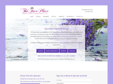 TheFacePlace-web-design-featured