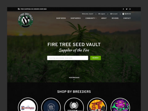 fre-tree-seed-vault-web-design-featured