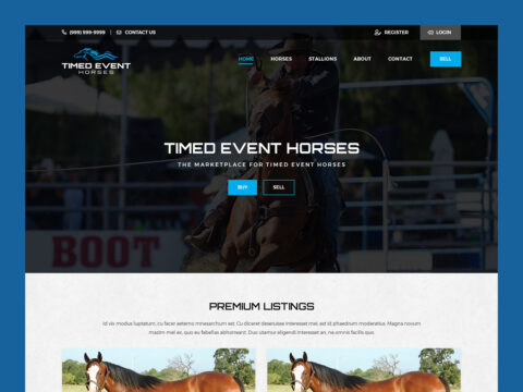 timed-event-horses-web-design-featured