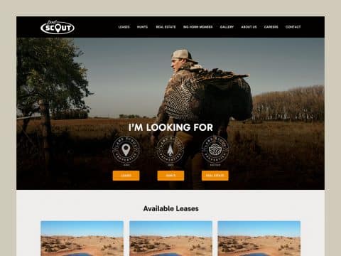 land-scout-web-design-featured